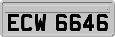 ECW6646