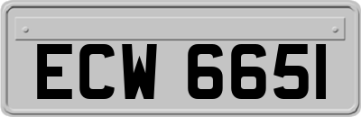 ECW6651