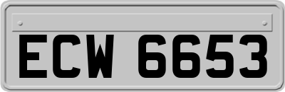 ECW6653