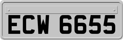 ECW6655