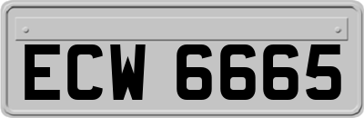 ECW6665