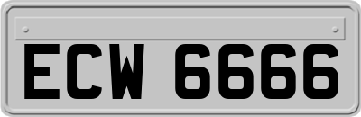ECW6666