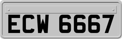 ECW6667
