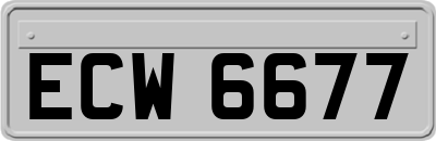 ECW6677