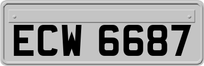 ECW6687