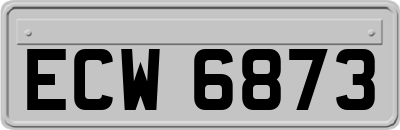 ECW6873