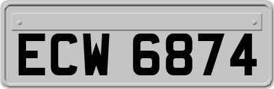 ECW6874