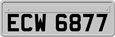 ECW6877