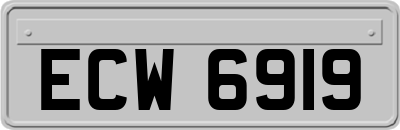 ECW6919