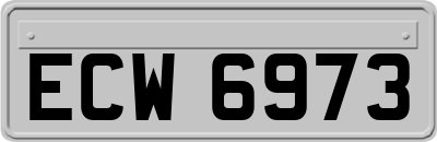 ECW6973