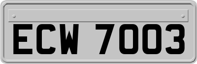 ECW7003