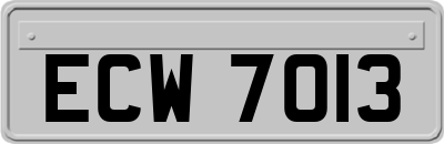 ECW7013