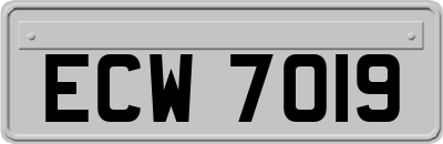 ECW7019