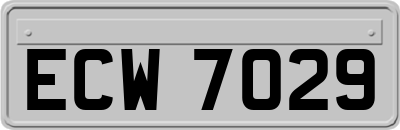 ECW7029