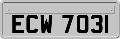 ECW7031