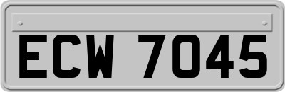 ECW7045