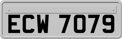 ECW7079