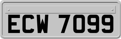 ECW7099