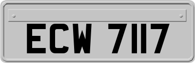ECW7117