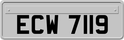 ECW7119