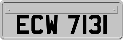 ECW7131