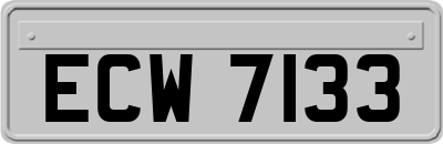 ECW7133