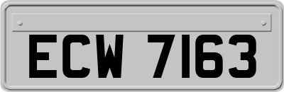ECW7163
