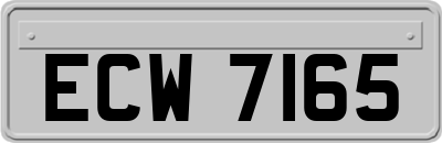 ECW7165