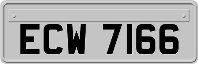 ECW7166