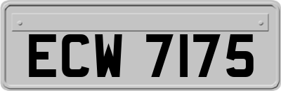 ECW7175
