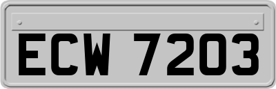 ECW7203