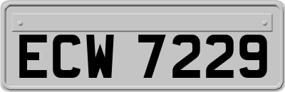 ECW7229