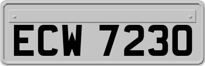 ECW7230