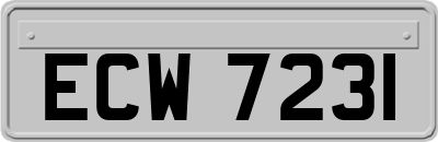 ECW7231