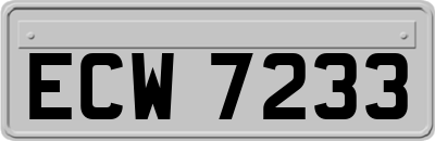 ECW7233