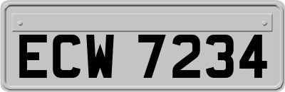 ECW7234