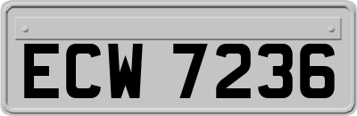ECW7236