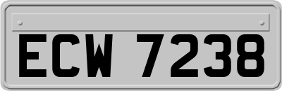 ECW7238