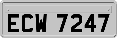ECW7247