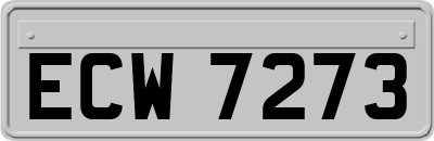 ECW7273