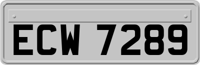 ECW7289