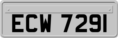 ECW7291