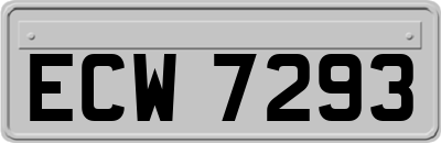 ECW7293