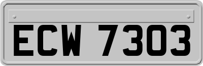 ECW7303