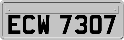ECW7307