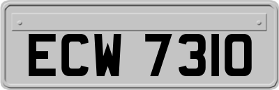 ECW7310