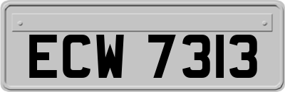 ECW7313