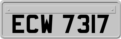 ECW7317