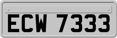 ECW7333