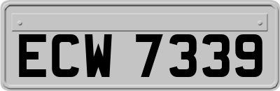 ECW7339